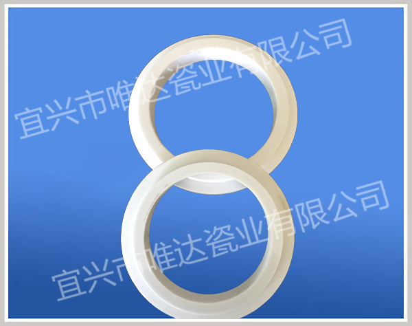 大型陶瓷密封环